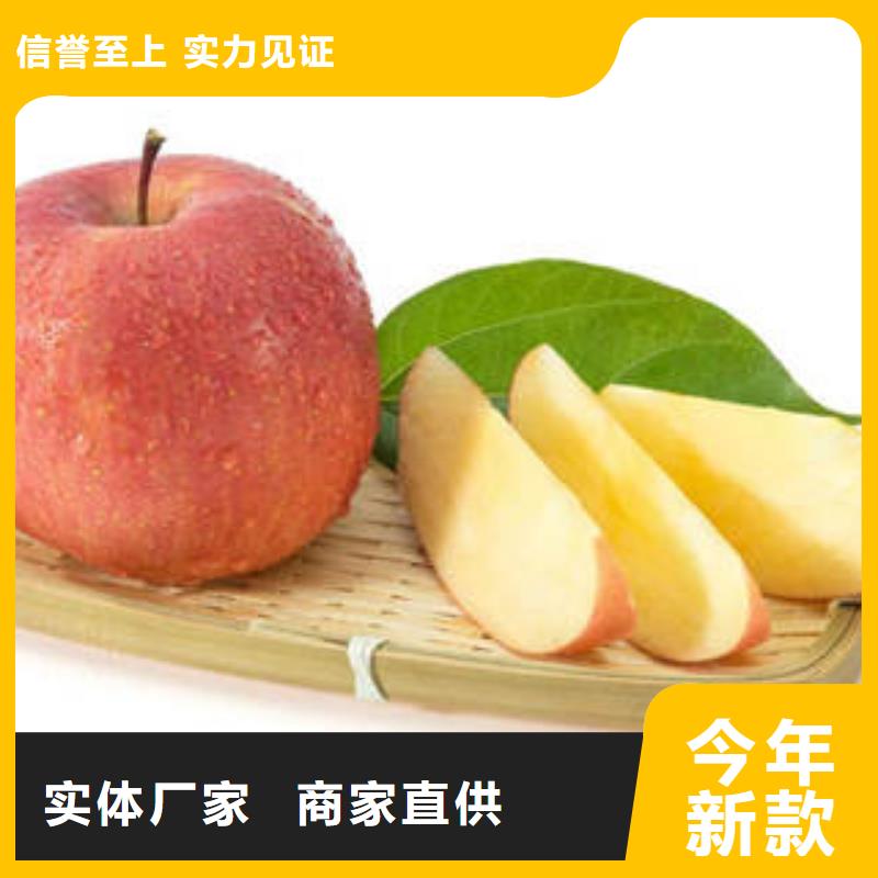 红富士苹果苹果种植基地真正的源头厂家厂家
