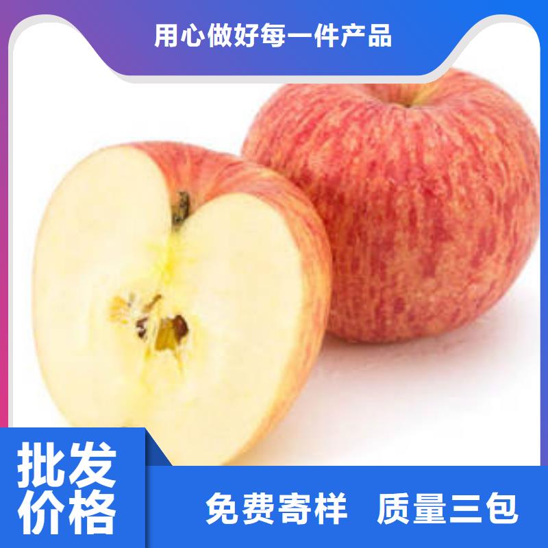 红富士苹果嘎啦苹果诚信经营质量保证每个细节都严格把关