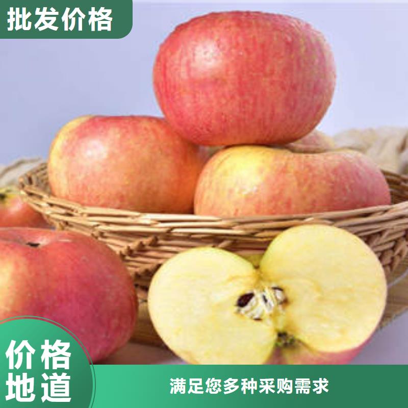 红富士苹果_红富士苹果产地多年行业经验欢迎来电咨询