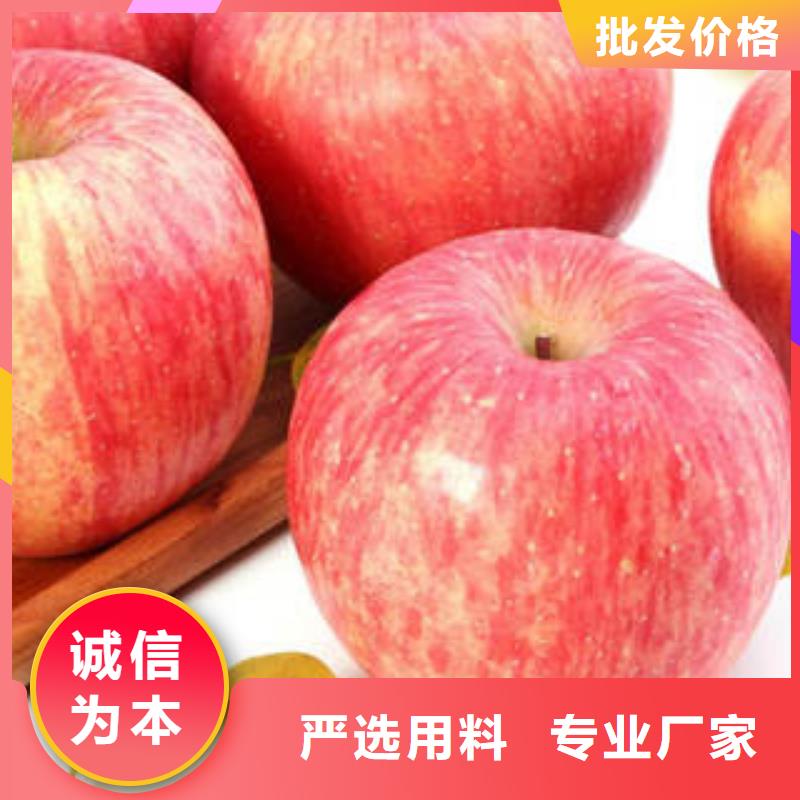 红富士苹果嘎啦苹果加工定制细节严格凸显品质