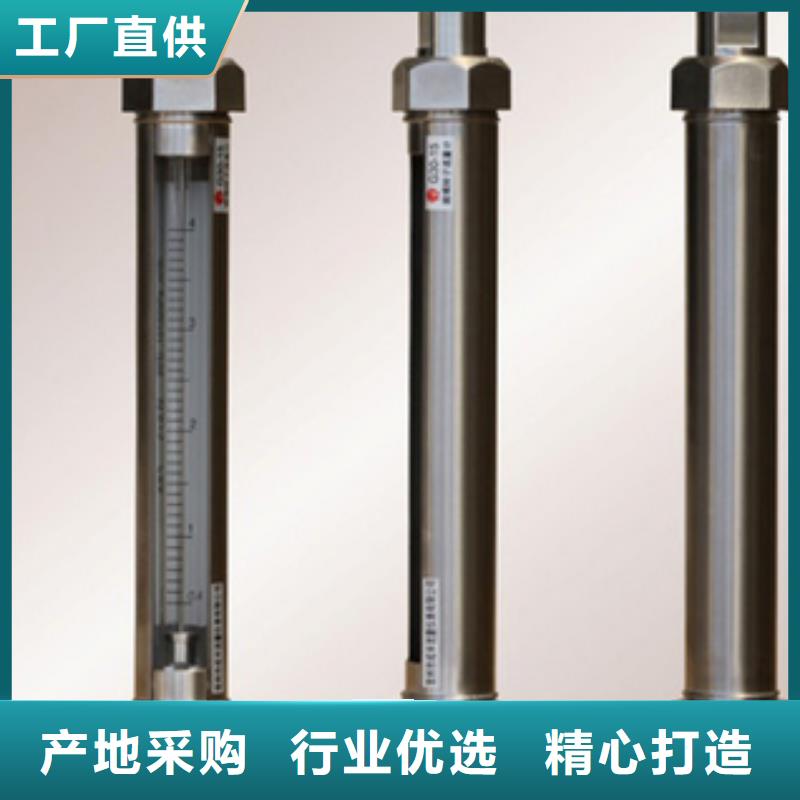 G10转子流量计货到付款精工打造