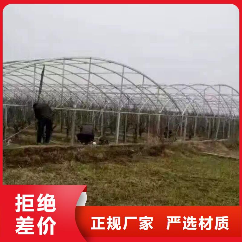 管材热镀锌槽钢客户好评当地经销商
