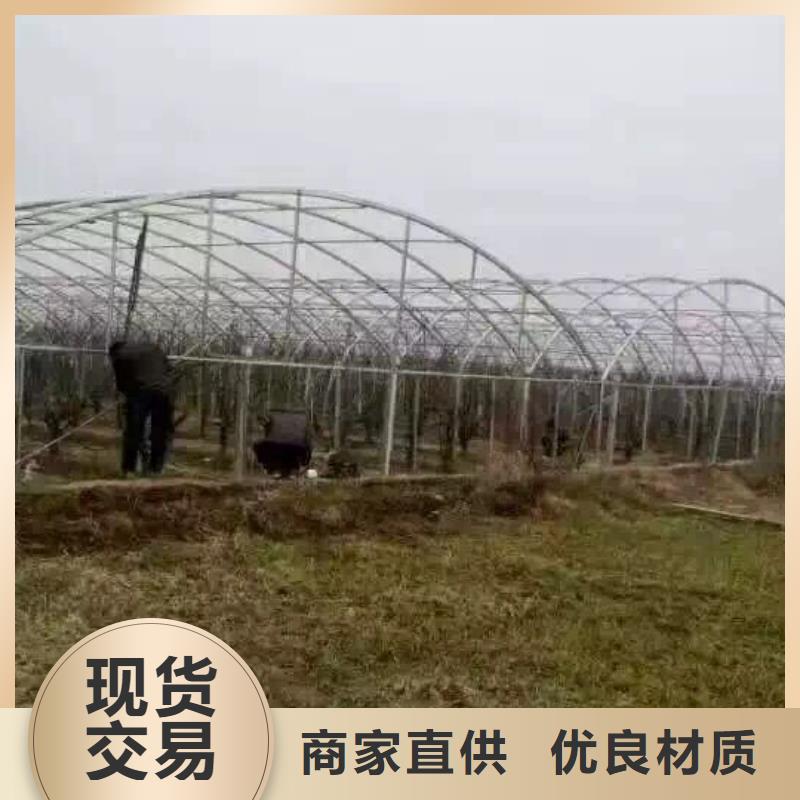 镀锌管材【热镀锌圆钢】把实惠留给您同城厂家
