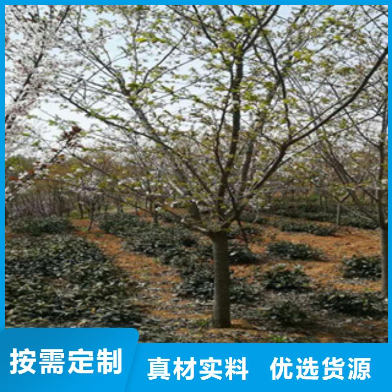 /FL29361558