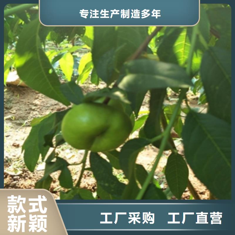 桃树_【泰山景松造型景松】服务周到价格有优势