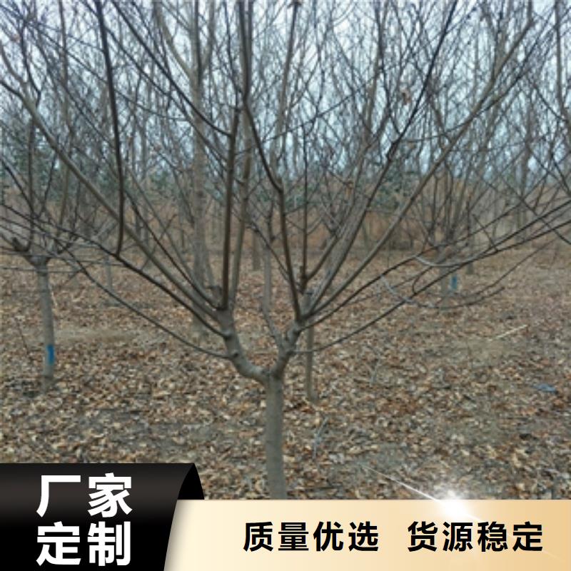 【桃树绿化树绿化工程精心选材】安装简单