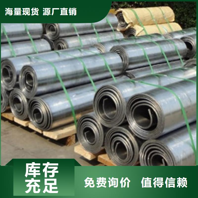 射线防护铅门价格公道交货准时