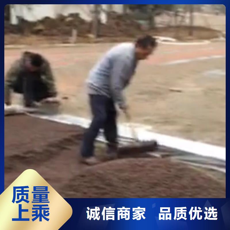 透水,艺术压模地坪订制批发多种工艺