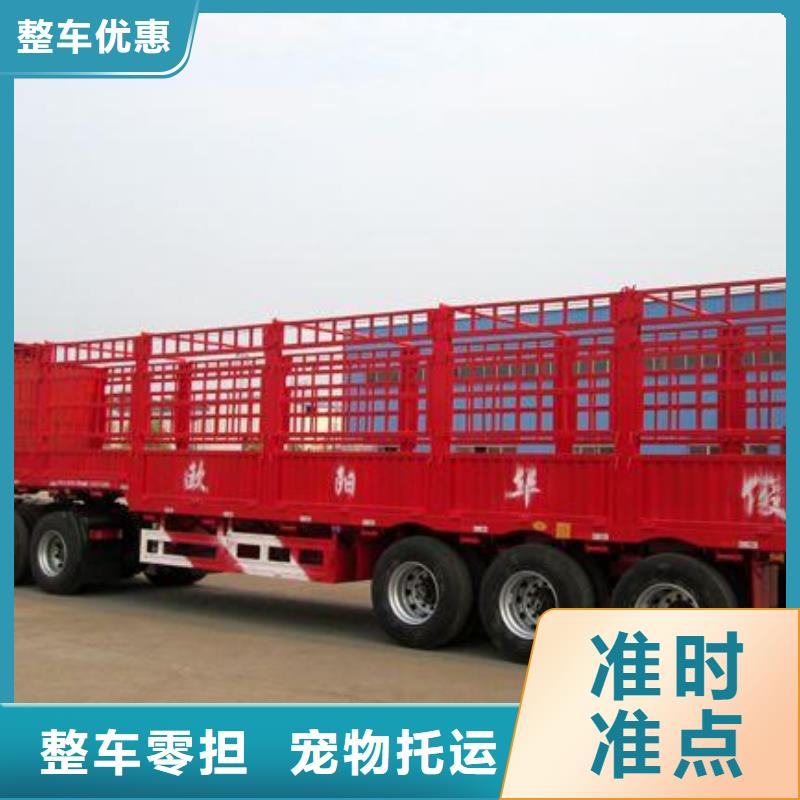 菏泽物流公司乐从货运专线物流公司送货及时