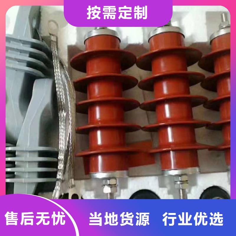 电站型氧化锌避雷器避雷器HY5WZ-26/66批发价本地货源