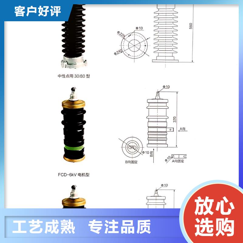 电机型氧化锌避雷器HY1.5WZ2-60/144生产厂家实力大厂家