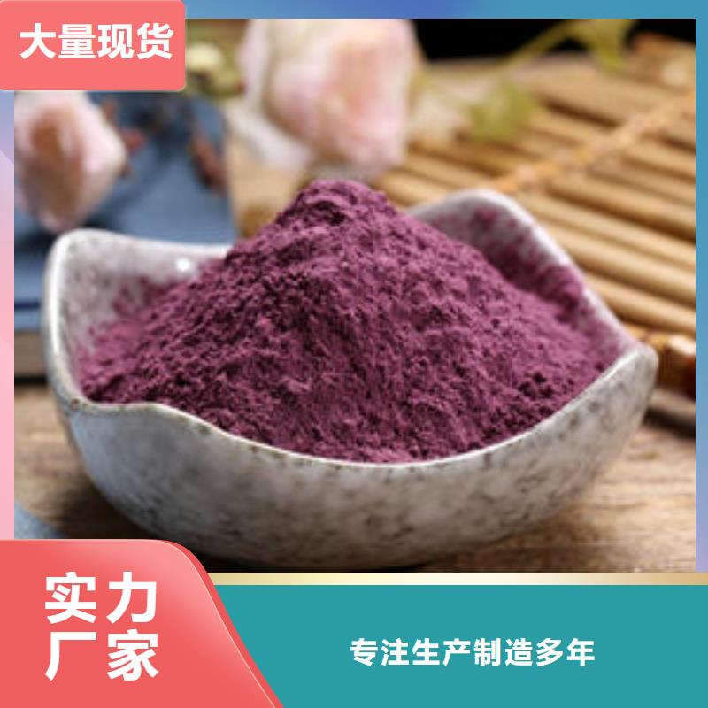 紫地瓜苗子供应口碑好实力强