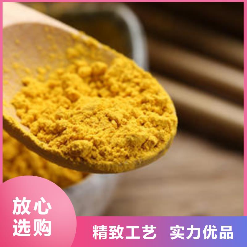 南瓜粉灵芝菌种正规厂家现货快速采购