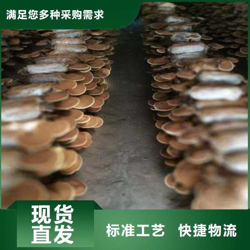 瑞芝销售公司地址同城经销商