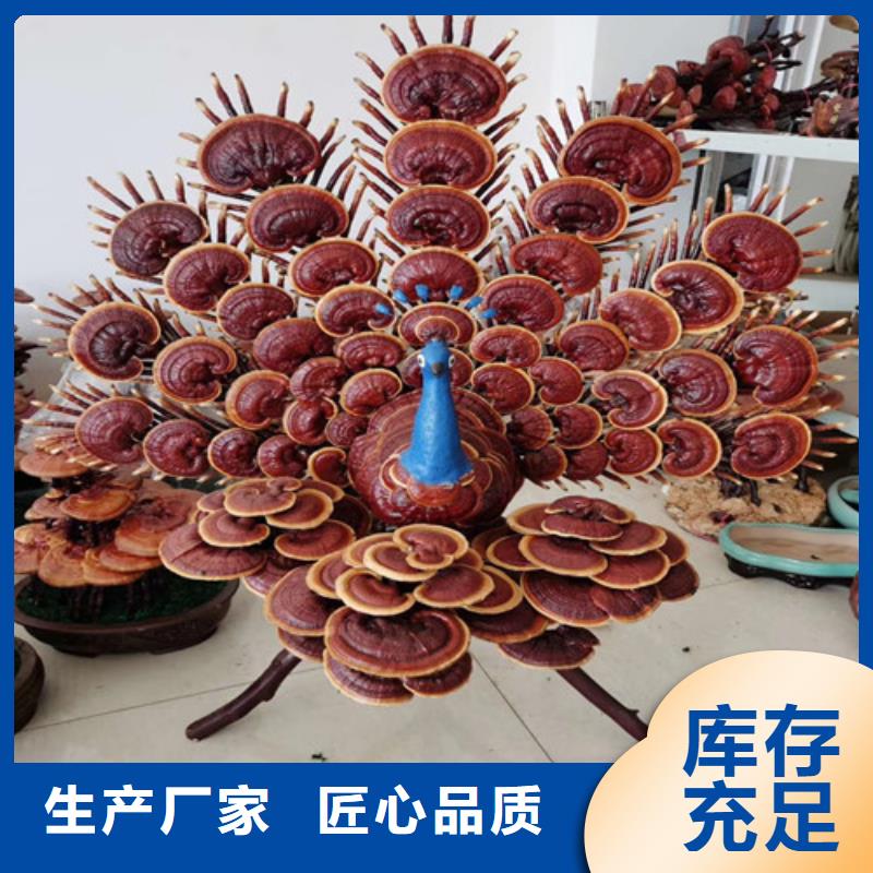 灵芝孢子粉哪家好用好材做好产品