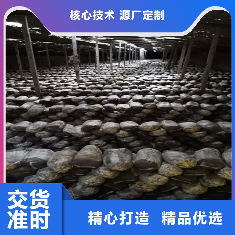 供应批发破壁灵芝粉-保质现货齐全售后无忧