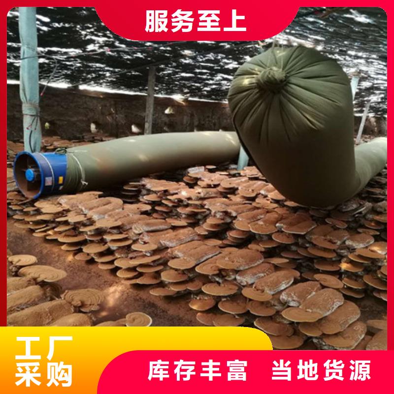 
灵芝粉-我公司资质齐全极速发货