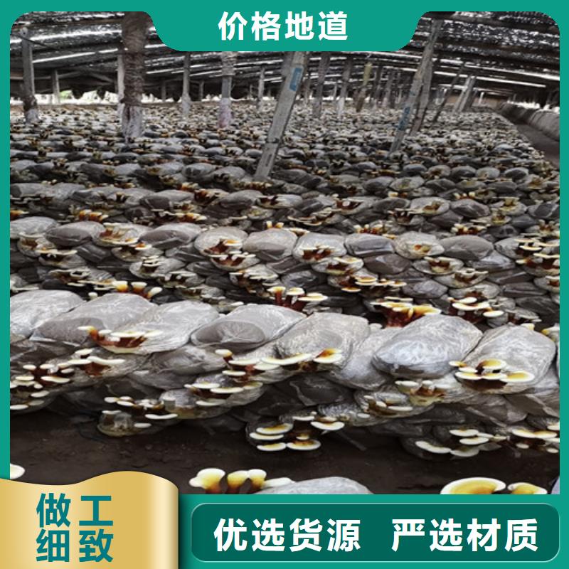 灵芝超微粉
现货供应-可定制本地生产商