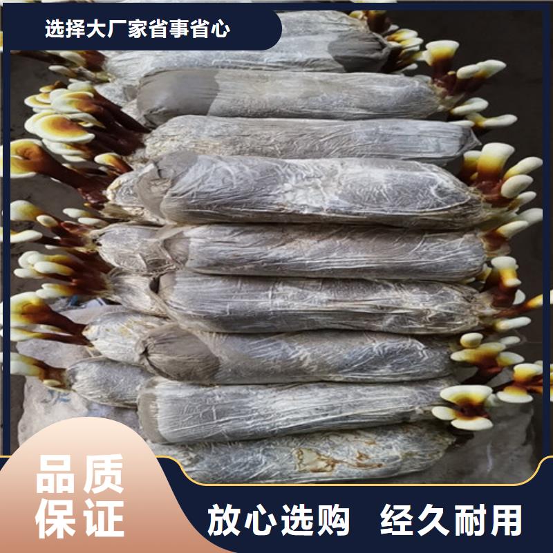 
灵芝粉-信守承诺种类丰富