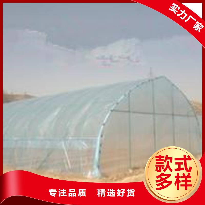 虎丘连体大棚管热销价格合理真材实料加工定制
