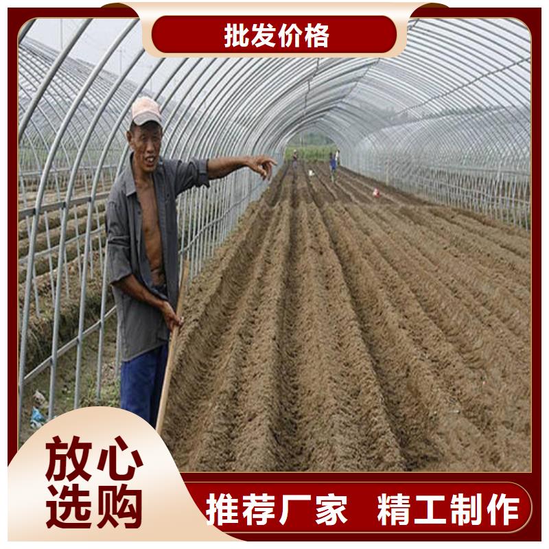 绥滨农用大棚骨架价格同城货源