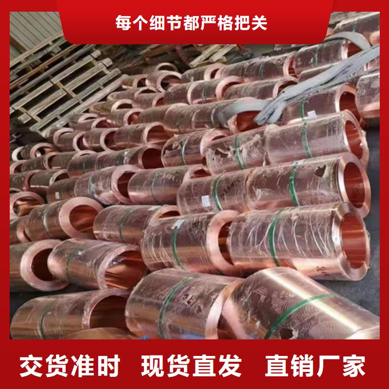 铜排铜片凸结点钢塑土工格栅厂家直营现货