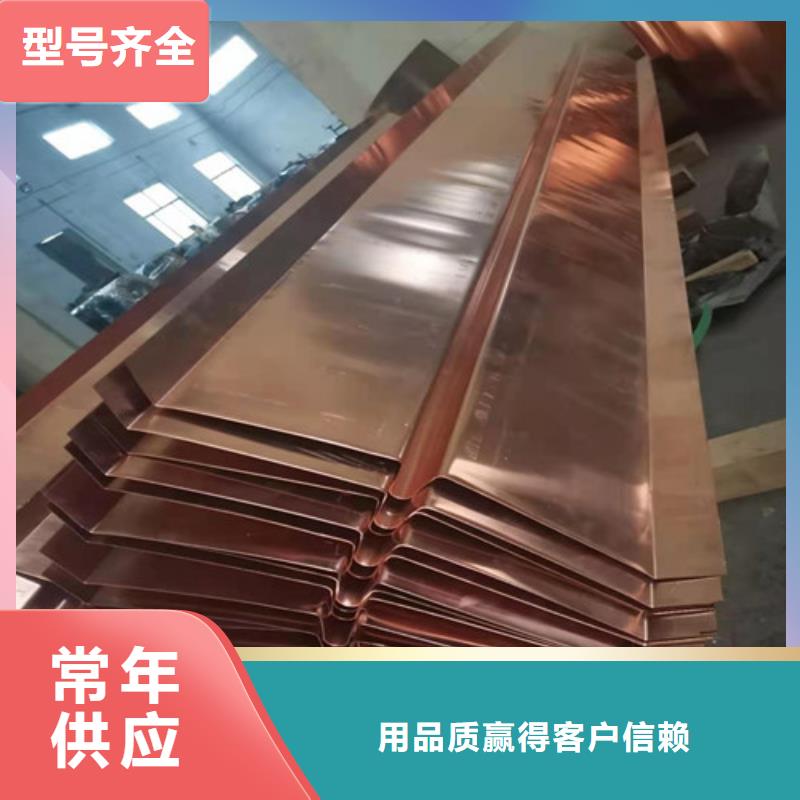 铜排铜片钢塑土工格栅品牌大厂家当地生产商