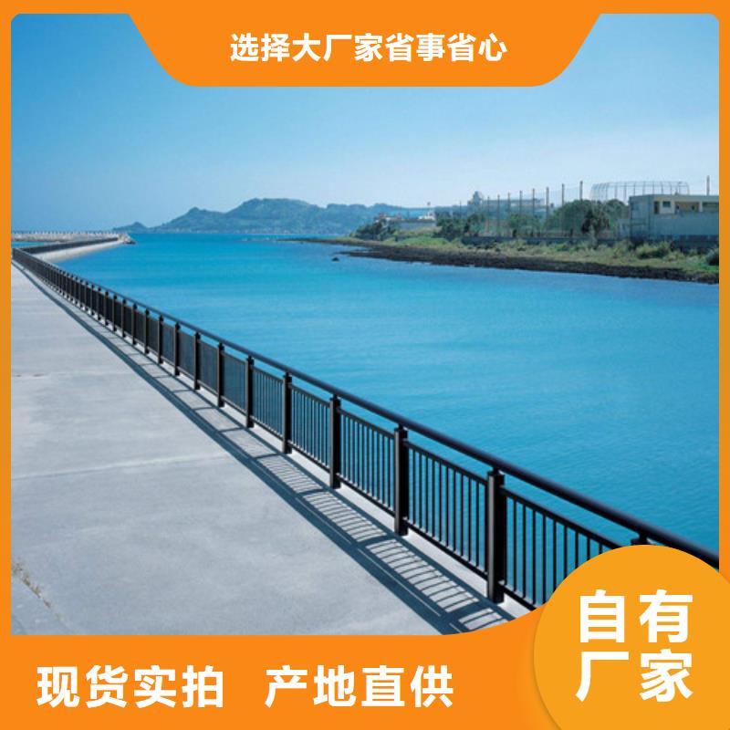 防撞钢护栏-回购率高多年行业经验