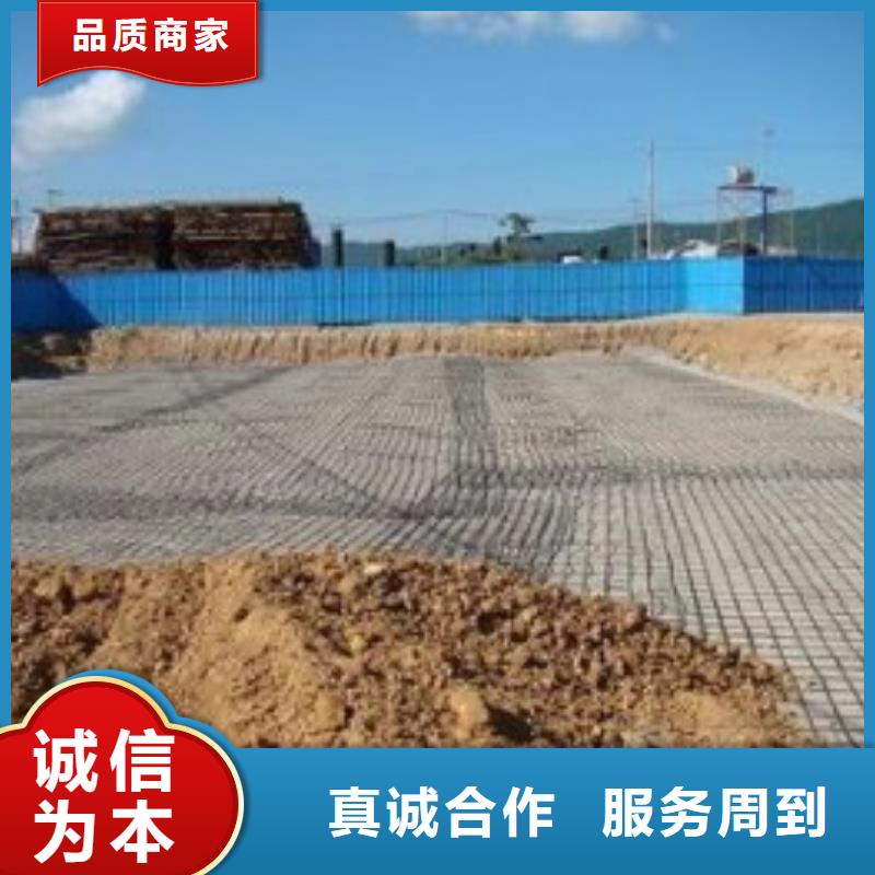 钢塑土工格栅HDPE土工膜经销商正规厂家