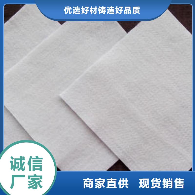 土工布_毛细排水板大厂家实力看得见精选优质材料