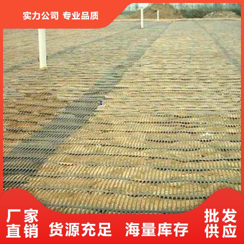 【单向塑料土工格栅】膨润土防水毯品质服务0中间商差价