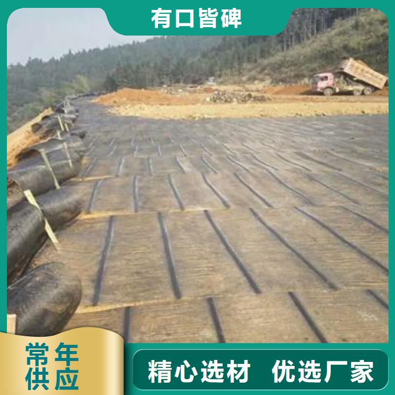 单向塑料土工格栅PP焊接土工格栅多种规格供您选择用好材做好产品