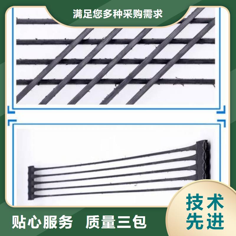 单向塑料土工格栅_保温土工布用心制造直销厂家