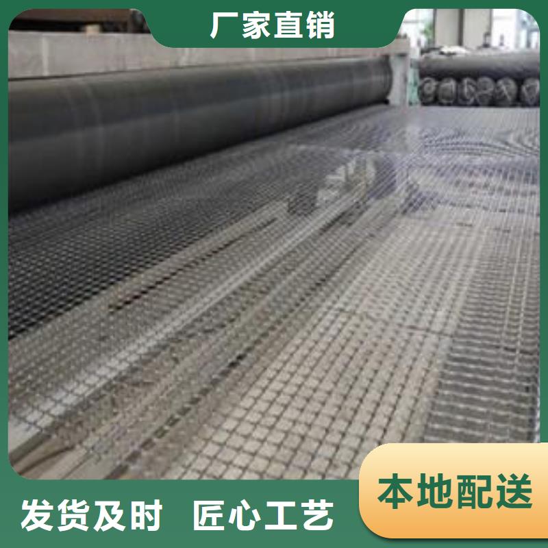 双向塑料土工格栅【【三维土工网垫】】厂家直销规格多样同城公司