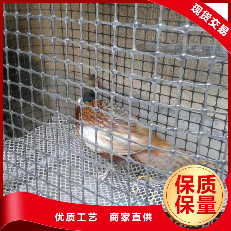 【双向塑料土工格栅】玻纤土工格栅品质保障售后无忧超产品在细节