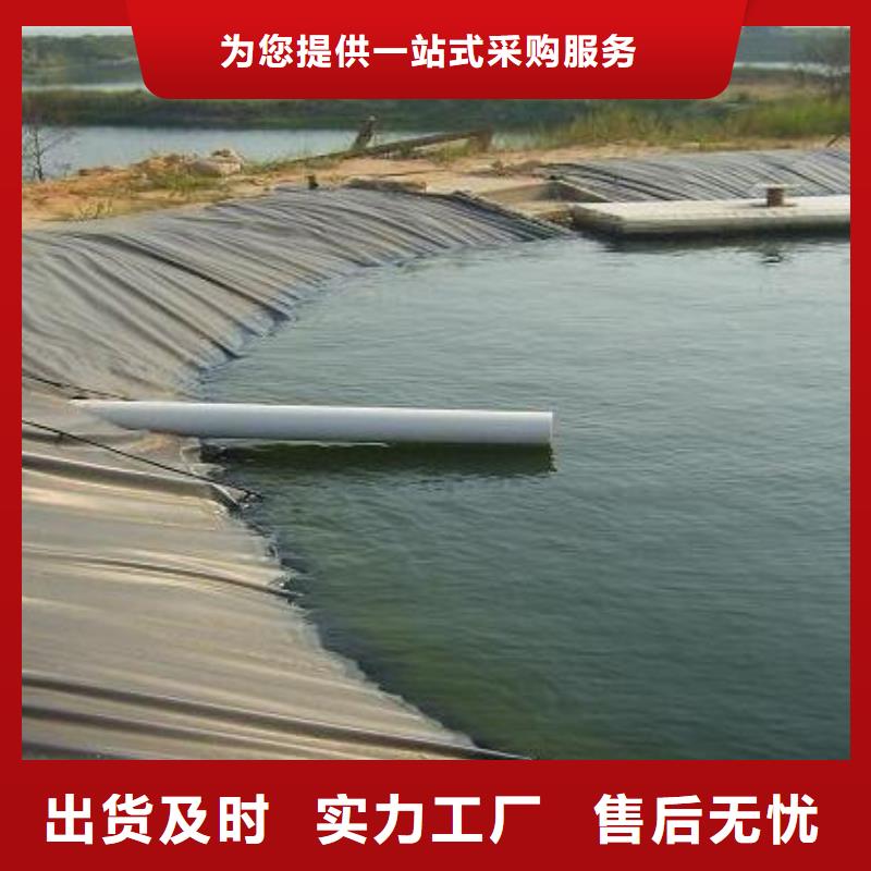 土工膜双向塑料土工格栅敢与同行比价格常年供应