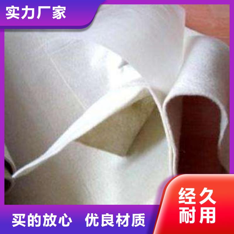 【复合土工膜土工席垫产地批发】专业生产厂家