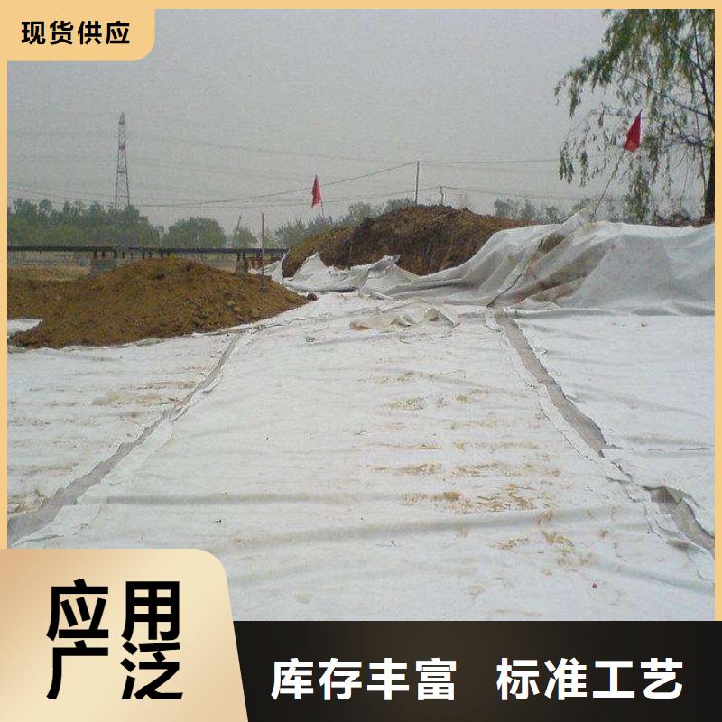 复合土工膜,防尘布生产经验丰富当地服务商