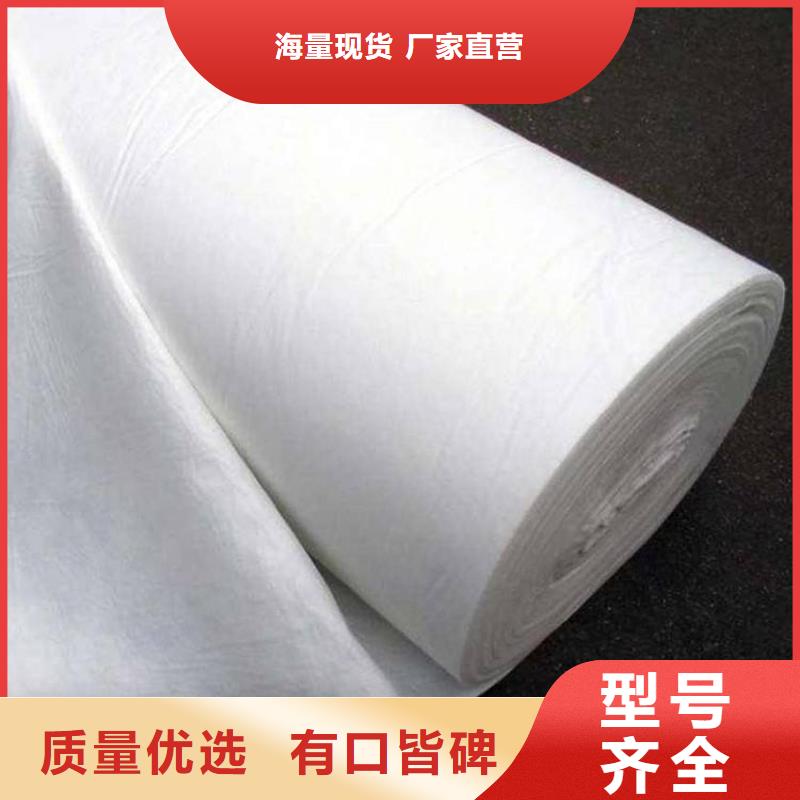 复合土工膜PP焊接土工格栅支持加工定制本地品牌