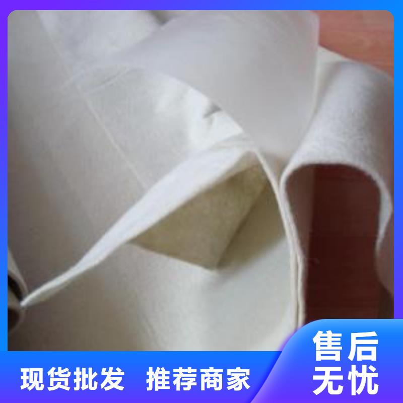 复合土工膜,涤纶土工格栅支持拿样当地经销商