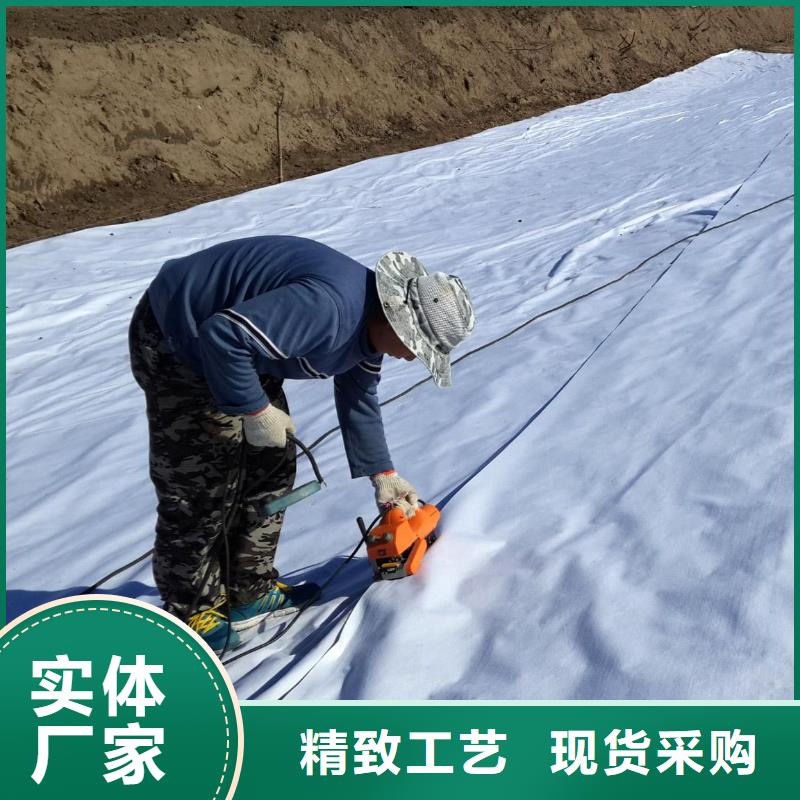 复合土工膜PVC防水卷材好货采购今日新品