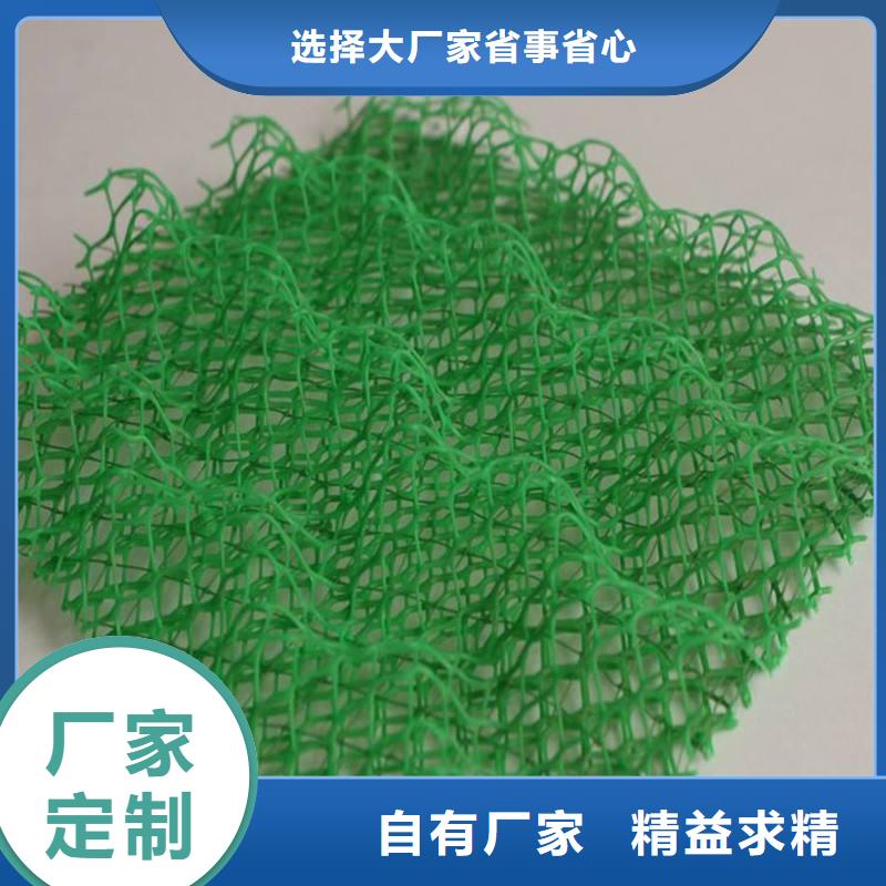 【三维植被网_防尘布当地货源】满足客户所需