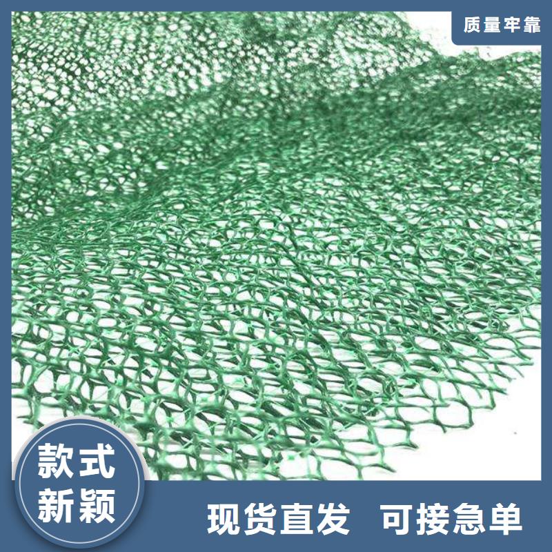 三维植被网-PVC防水卷材多种规格库存充足当地品牌