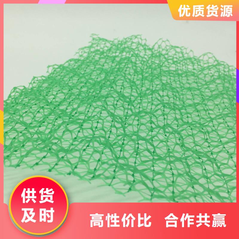 三维植被网HDPE土工膜工厂直销同城生产厂家