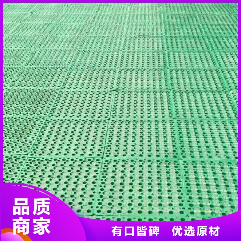 三维植被网三维土工网垫真实拍摄品质可靠原料层层筛选