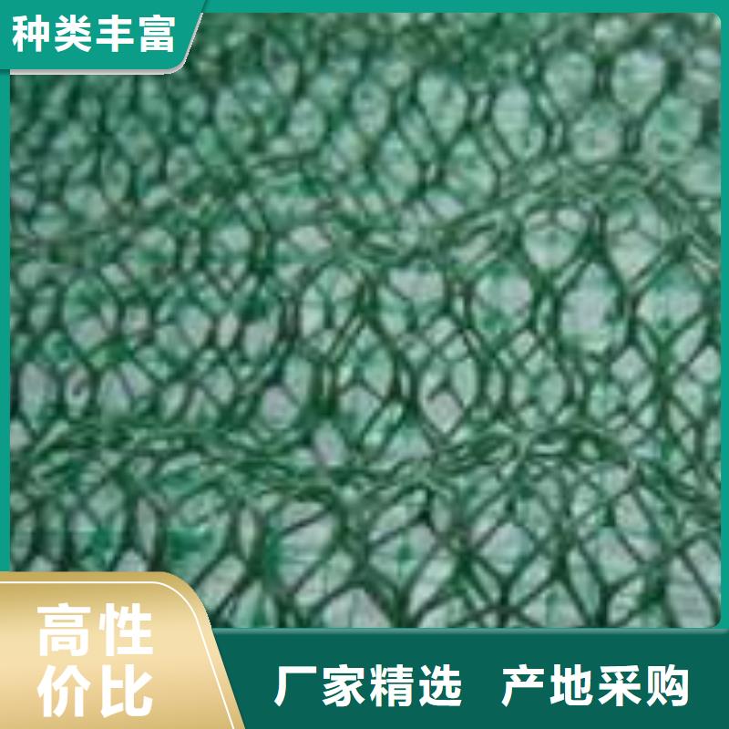 三维植被网膨润土防水毯诚信商家服务热情通过检测