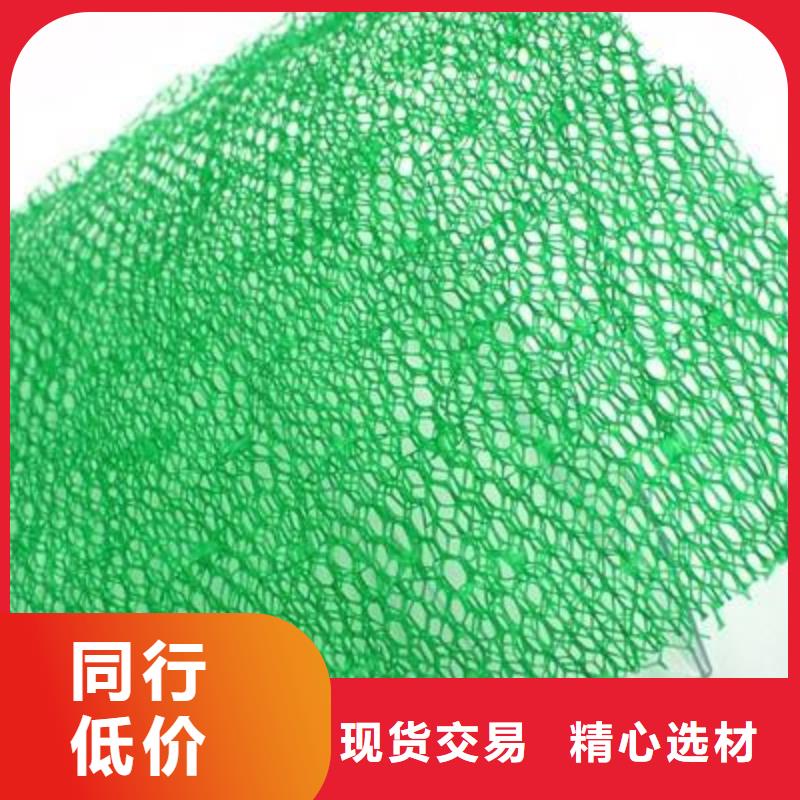 【三维植被网-塑料土工滤网源头厂家量大价优】欢迎来电询价