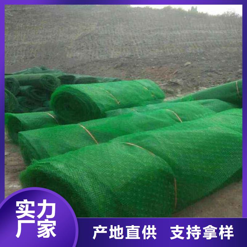 【三维植被网】三维复合排水网质量层层把关本地品牌