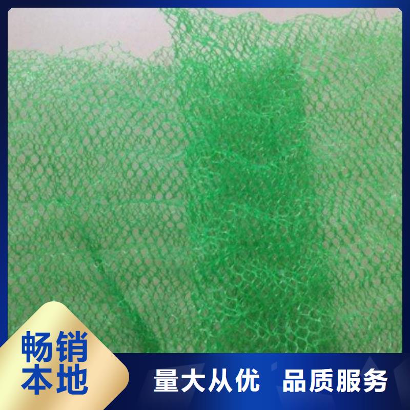 三维植被网PVC防水卷材层层质检同城生产商