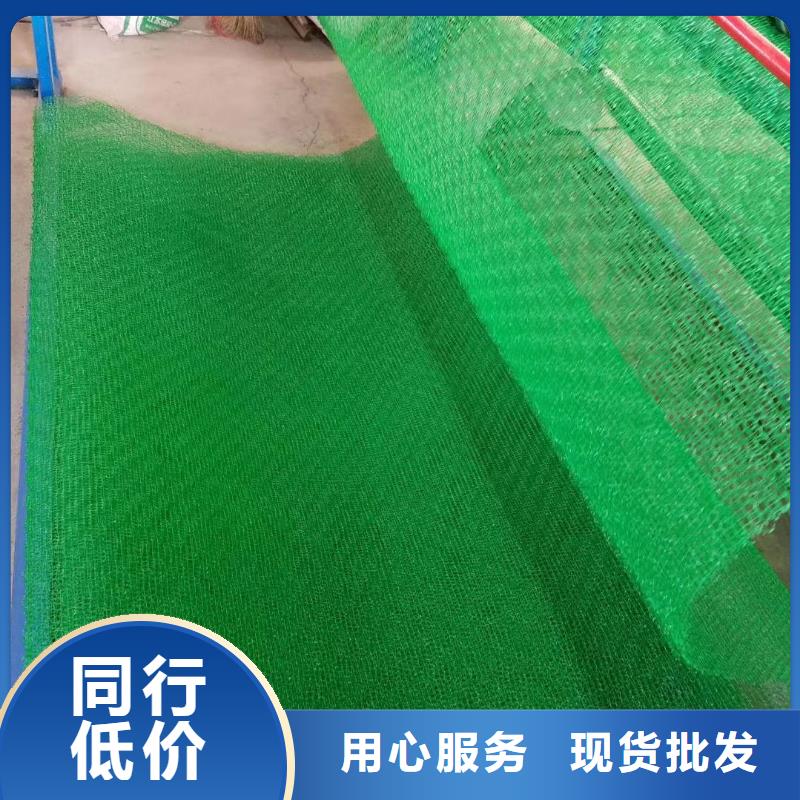【三维植被网,长丝土工布欢迎来电咨询】同城制造商